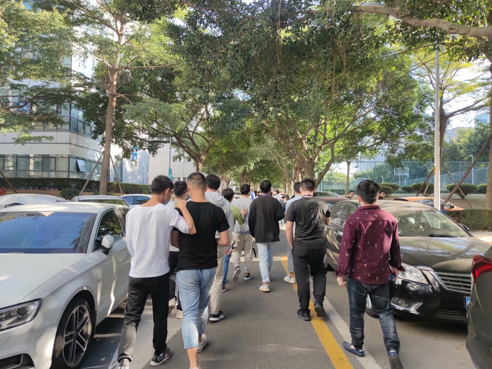 传一科技