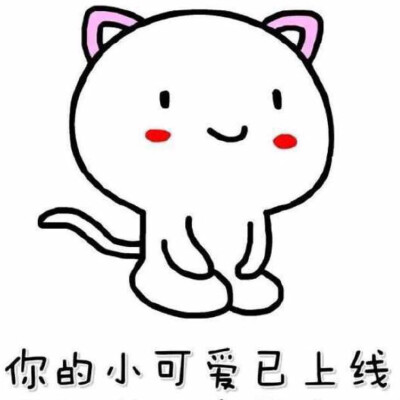 传一科技