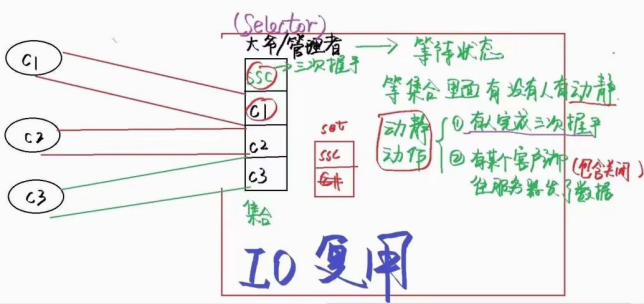 传一科技